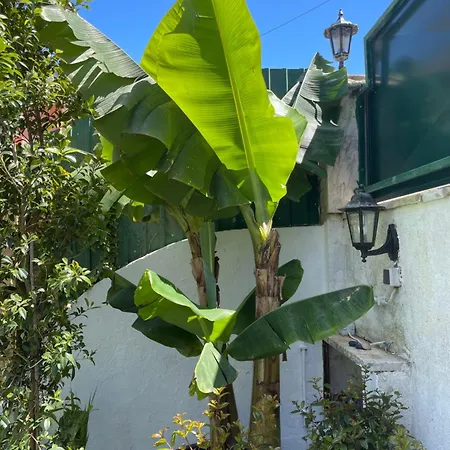 Vila Retreat Villa, Full Amenities, Up To 40ppl *