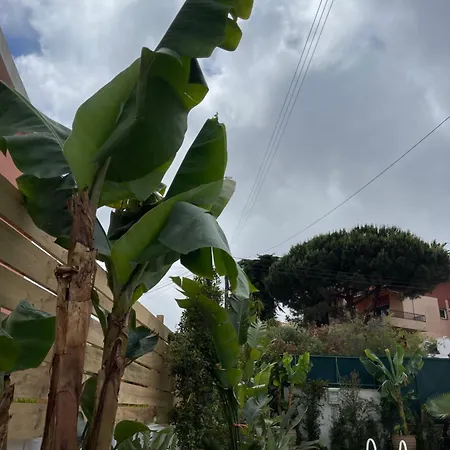 Vila Retreat Villa, Full Amenities, Up To 40ppl *