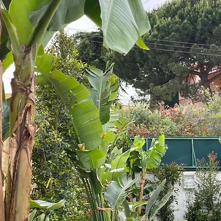 Vila Retreat Villa, Full Amenities, Up To 40ppl