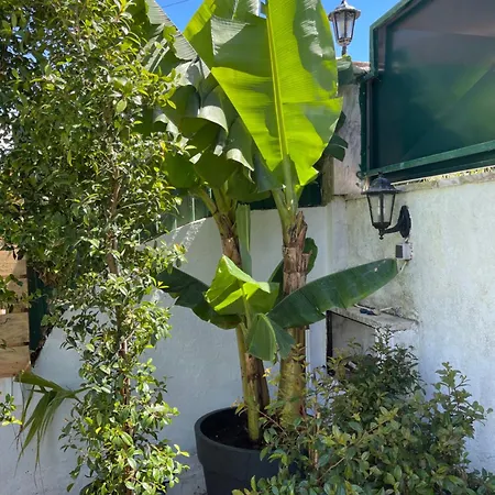 Villa Retreat Villa, Full Amenities, Up To 40ppl Lisbon