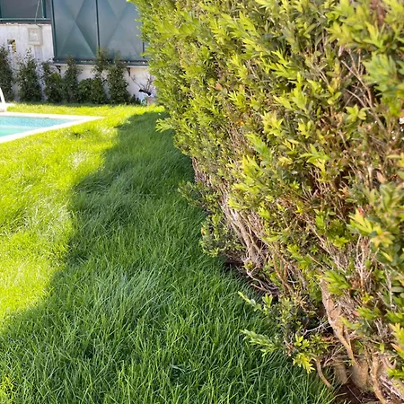 Villa Oeiras Villa, Pool And Jacuzzi